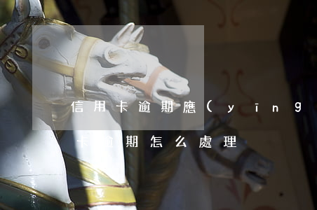 信用卡逾期應(yīng)該怎么辦理(信用卡逾期怎么處理)