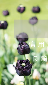 信用卡逾期應(yīng)該怎么還錢(信用卡逾期了還完了怎么去處理)