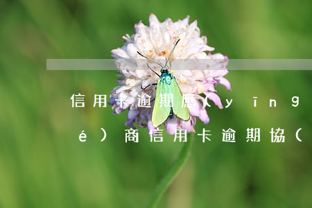 信用卡逾期應(yīng)該怎樣協(xié)商(信用卡逾期協(xié)商處理方法)