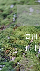 信用卡逾期應(yīng)該找什么樣的律師(信用卡逾期應(yīng)該找什么樣的律師)