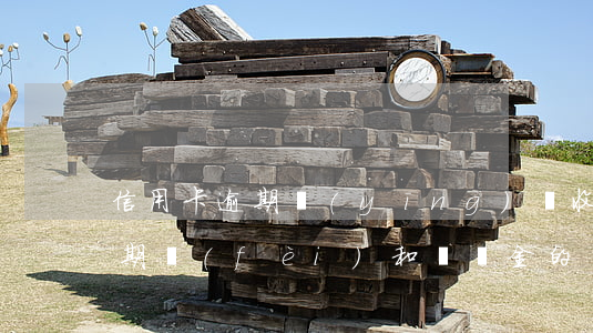 信用卡逾期應(yīng)該收滯納金嗎(逾期費(fèi)和滯納金的區(qū)別)