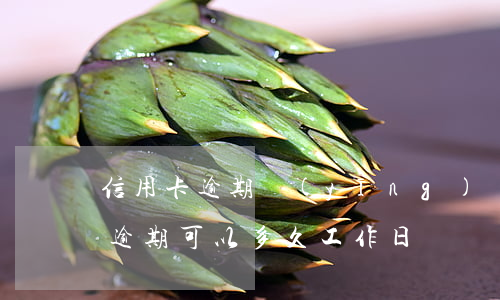 信用卡逾期應(yīng)該通知嗎(信用卡 逾期可以多久 工作日)