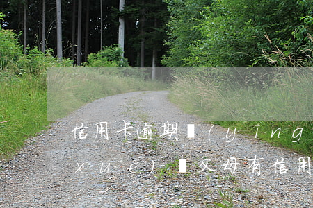 信用卡逾期應(yīng)響孩子上大學(xué)嗎 父母有信用卡逾期會影響孩子上學(xué)嗎