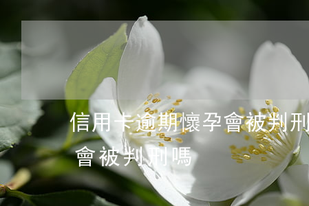 信用卡逾期懷孕會被判刑嗎(信用卡逾期懷孕會被判刑嗎)