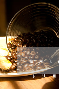 信用卡逾期成了呆账怎么办(呆账还清后信用卡注销会显示逾期吗)
