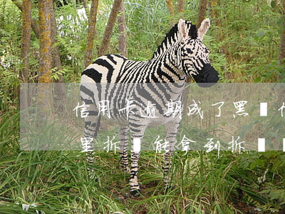 信用卡逾期成了黑戶(信用卡逾期成了黑戶家里拆遷能拿到拆遷樓嗎?)