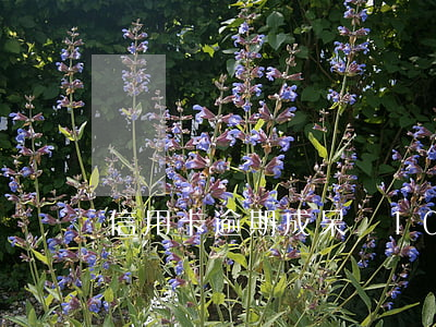 信用卡逾期成呆賬10年后會起訴嗎