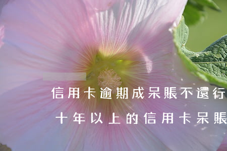 信用卡逾期成呆賬不還行嗎(超過(guò)十年以上的信用卡呆賬如何處理)