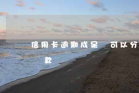 信用卡逾期成呆賬可以分期還嗎(呆賬能分期還款嗎)