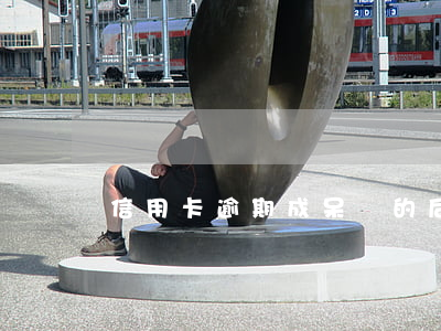 信用卡逾期成呆賬的后果(信用卡逾期成為呆賬)