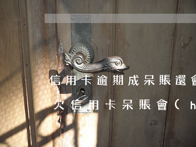 信用卡逾期成呆賬還會(huì)漲利息嗎(欠信用卡呆賬會(huì)起訴嗎)