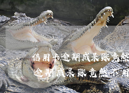 信用卡逾期成呆账竟然不用还了吧-信用卡逾期成呆账竟然不用还了吧怎么办