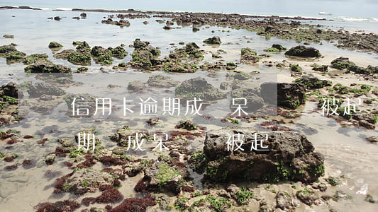 信用卡逾期成為呆賬還會被起訴嗎(信用卡逾期變成呆賬會被起訴嗎?)