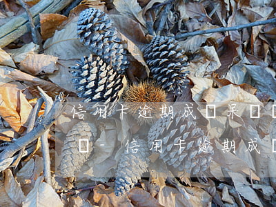 信用卡逾期成為呆賬銀行會(huì)起訴嗎-信用卡逾期成為呆賬銀行會(huì)起訴嗎知乎