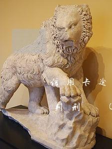 信用卡逾期成為被執(zhí)行人案例(被判刑導(dǎo)致信用卡逾期)