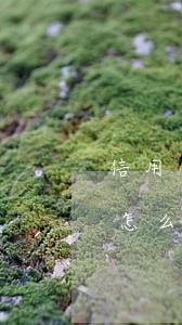 信用卡逾期成為黑名單怎么辦(逾期了黑名單怎么辦)
