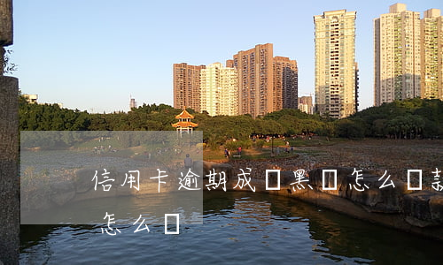 信用卡逾期成為黑戶怎么還款(逾期成為黑戶怎么辦)