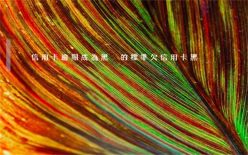 信用卡逾期成為黑戶的標準(欠信用卡黑戶)