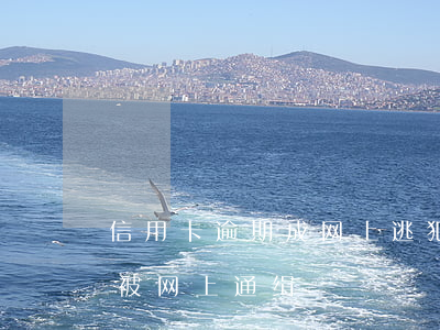 信用卡逾期成网上逃犯 欠信用卡逾期多久会被网上通缉