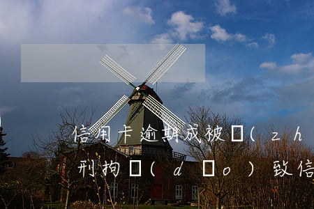 信用卡逾期成被執(zhí)行人怎么辦(被刑拘導(dǎo)致信用卡逾期怎么辦)