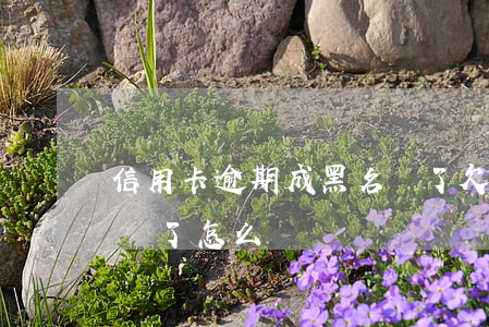 信用卡逾期成黑名單了 欠信用卡被列入黑名單了怎么辦?