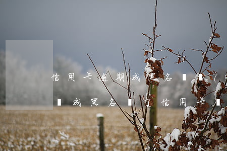 信用卡逾期成黑名單過(guò)后能上班嗎(成黑名單了信用卡還能用嗎)