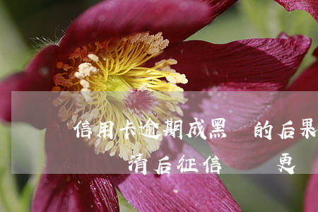 信用卡逾期成黑戶的后果(信用卡逾期造成黑戶,還清后征信會變更嗎)