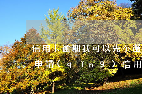 信用卡逾期我可以先不還么(逾期之后就不能申請(qǐng)信用卡了嗎)