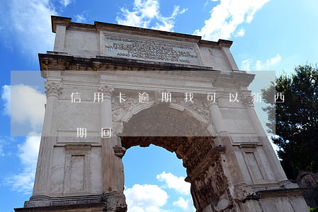 信用卡逾期我可以新西蘭嗎(新西蘭信用卡逾期回國)