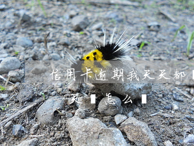 信用卡逾期我天天都還一部分(還信用卡逾期一天會怎么樣)