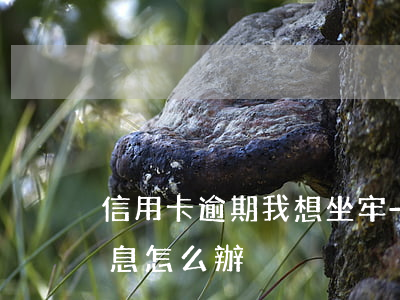 信用卡逾期我想坐牢-因坐牢信用卡逾期利息怎么辦