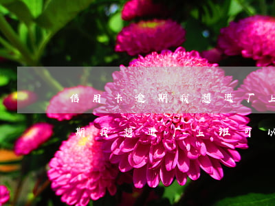 信用卡逾期我想进厂上班可以吗-信用卡逾期我想进厂上班可以吗知乎
