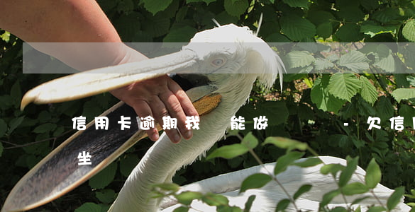信用卡逾期我還能做動車嗎-欠信用卡錢能坐動車嗎