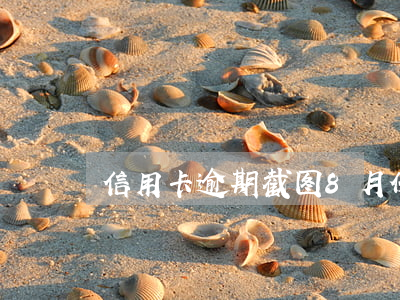 信用卡逾期截图8月份