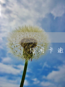 信用卡逾期截圖3月份(信用卡逾期3天)