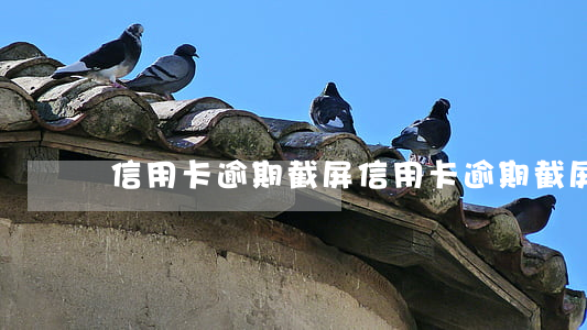 信用卡逾期截屏(信用卡逾期截屏違法嗎)