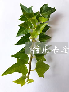信用卡逾期戶籍取證