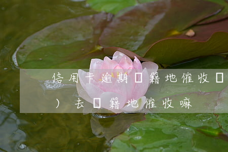 信用卡逾期戶籍地催收(貸款逾期會(huì)去戶籍地催收嘛)