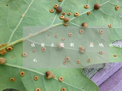 信用卡逾期戶籍地址-不知道信用卡逾期怎么辦