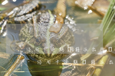 信用卡逾期戶籍派出所發(fā)短信過來-信用卡逾期戶籍派出所發(fā)短信過來是真的嗎