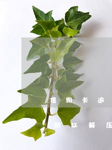 信用卡逾期房子可以解压-信用卡逾期房子可以解压