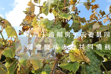 信用卡逾期房子夫妻共同(婚前信用卡逾期未還,會變成夫妻共同債務(wù)嗎)