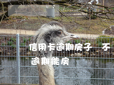 信用卡逾期房子會不會被法院強拍(有信用卡逾期能房貸嗎)