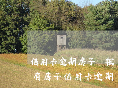 信用卡逾期房子會被強制執(zhí)行嗎(有房子信用卡逾期會被起訴)