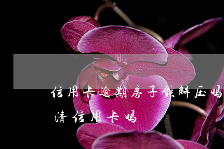 信用卡逾期房子能解压吗(房产证解压需要还清信用卡吗)