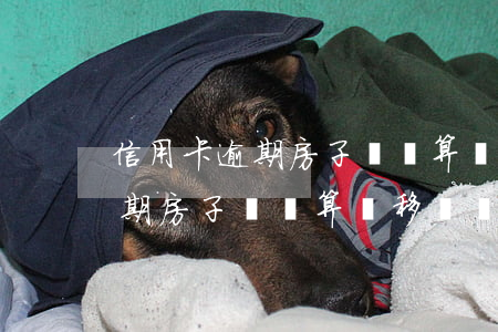 信用卡逾期房子過戶算轉移資產嗎(信用卡逾期房子過戶算轉移資產嗎要多少錢)