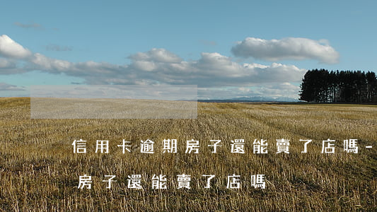 信用卡逾期房子還能賣了店嗎-信用卡逾期房子還能賣了店嗎