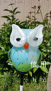 信用卡逾期房產(chǎn)a是(房產(chǎn)逾期是什么意思)