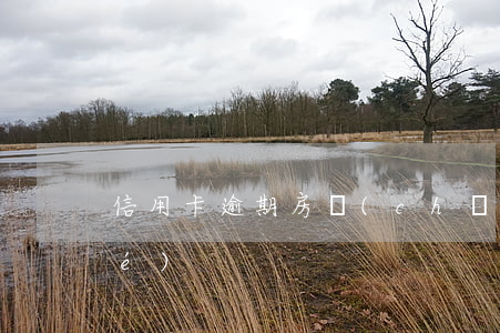 信用卡逾期房產(chǎn)被凍結(jié)
