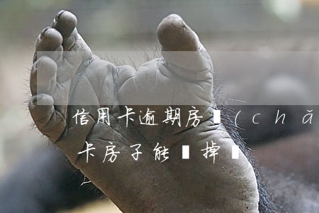 信用卡逾期房產(chǎn)賣掉-欠信用卡房子能賣掉嗎